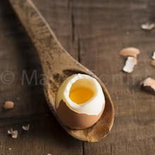 uovo-alla-coque