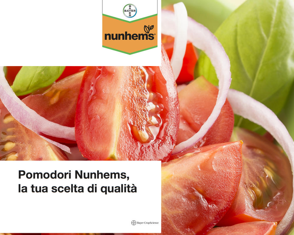 nunhems-fotografie-per-catalogo-prodotti-specie-ortive-pomodoro
