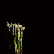 asparagi-sul-palco-still-life